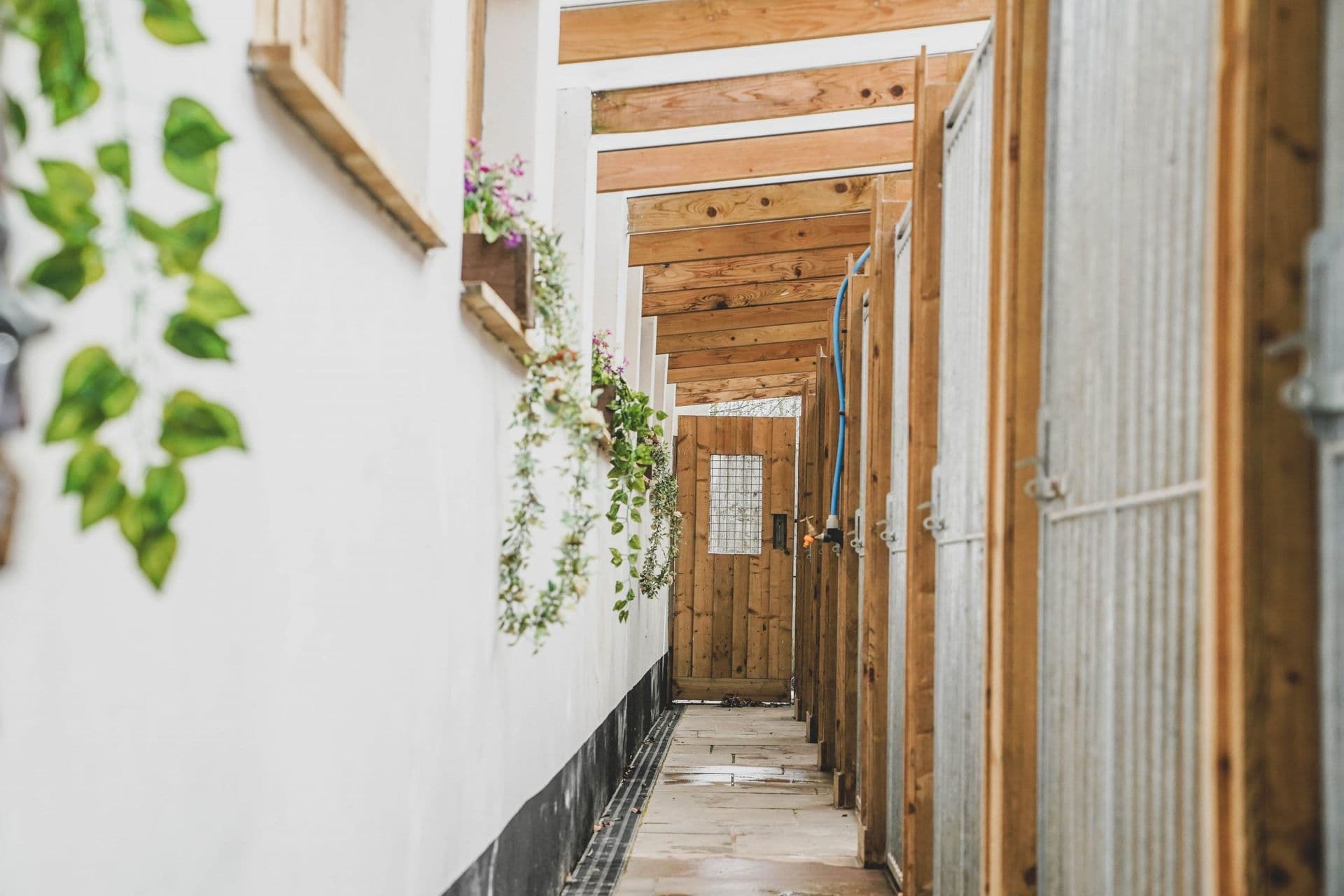 Wide stable corridor at Blackdown Yard with hanging flower baskets and golden-hour light.