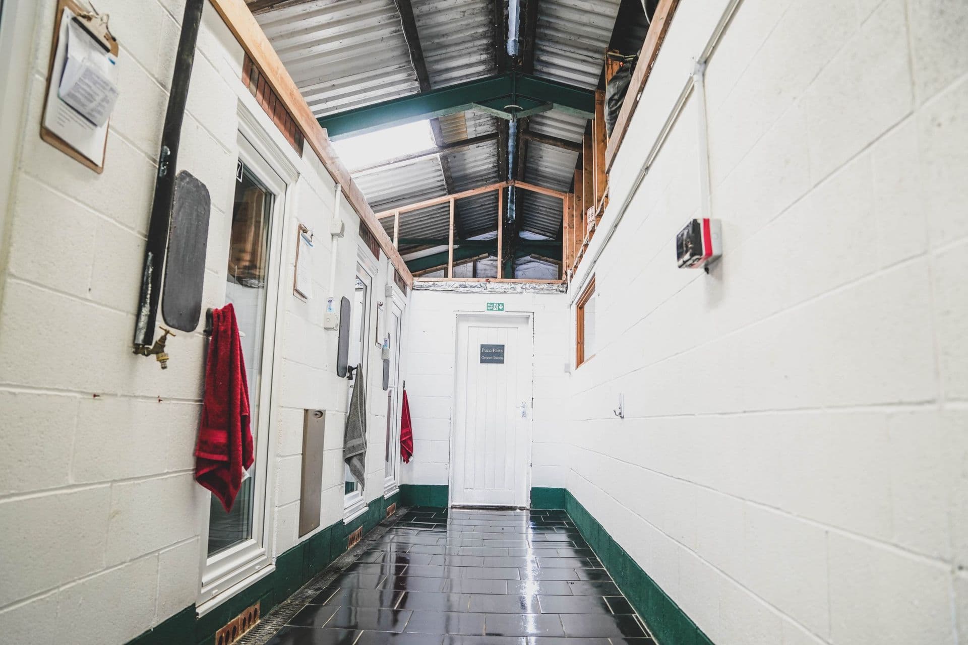 Clean Blackdown Yard kennel corridor with wet-mopped floor and green door trim
