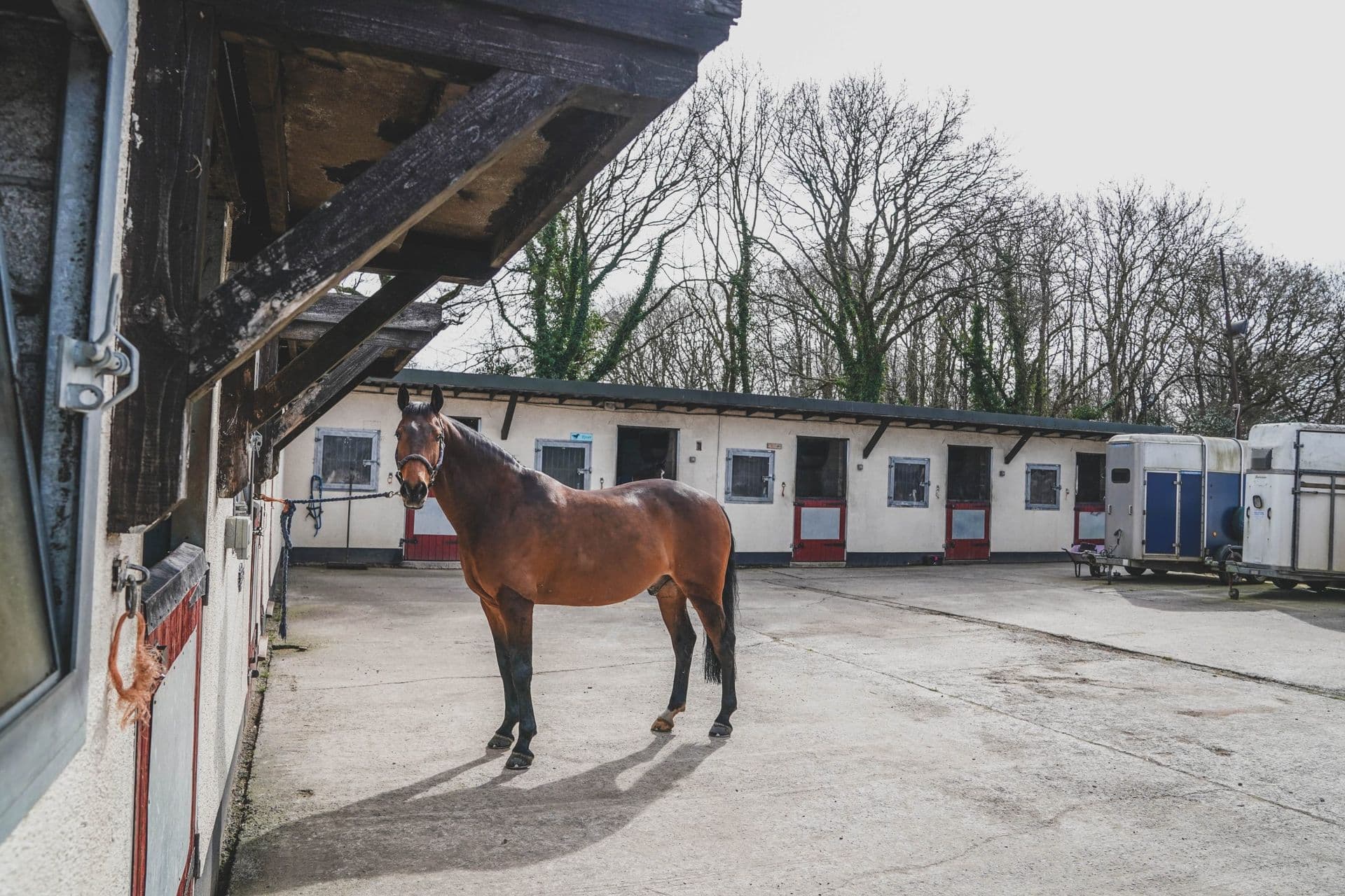 Blackdown Yard