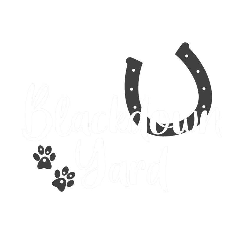 Blackdown Yard — boarding kennels, livery and cattery in Crediton, Devon