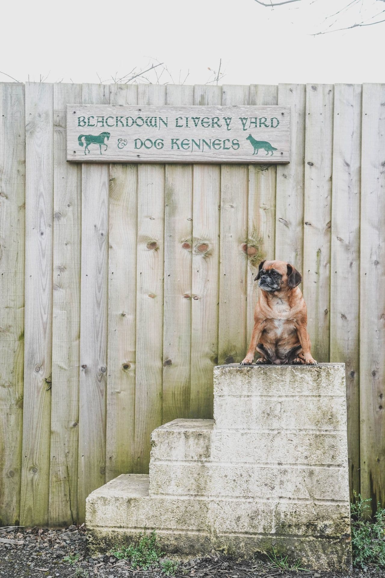 Hand-painted Blackdown Yard sign at the yard entrance